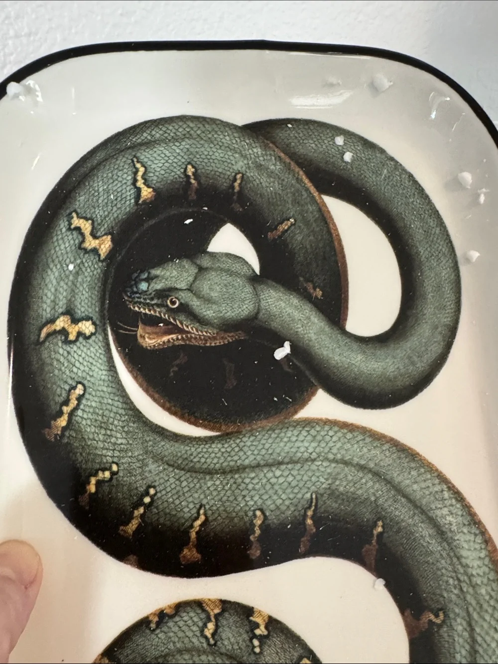 Anthropologie‎ Teal, Black and Gold Serpent Serving Tray